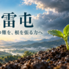 雨上がりの土を押し分ける小さな芽と遠い雷雲。水雷屯の始まりの困難を表す象徴画